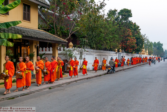 Luang Prabang - Laos - Mönche stellen sich auf um die Mönchsspeisung zu empfangen © Volker Abels www.foto-reiseberichte.com