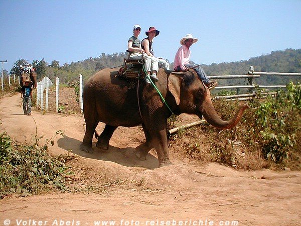 Elefantenritt Thailand nördlich von Chiang Mai © Volker Abels