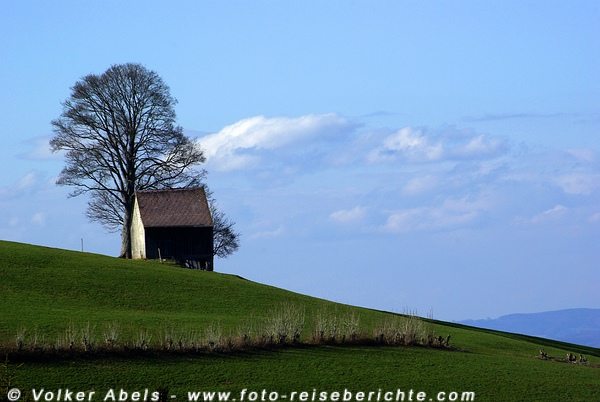 In der Nähe von Trogen, Schweiz - © Volker Abels