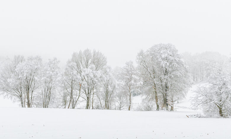 Fotografieren im Schnee und Nebel 4 Winterliche Schneelandschaft